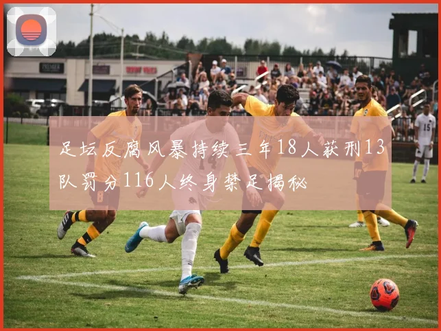 足坛反腐风暴持续三年18人获刑13队罚分116人终身禁足揭秘